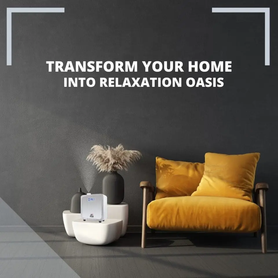 transform your home 1