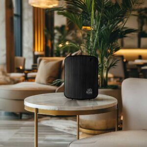 zen-diffuser-artwork2